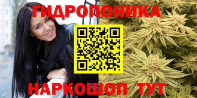 экстази Будённовск